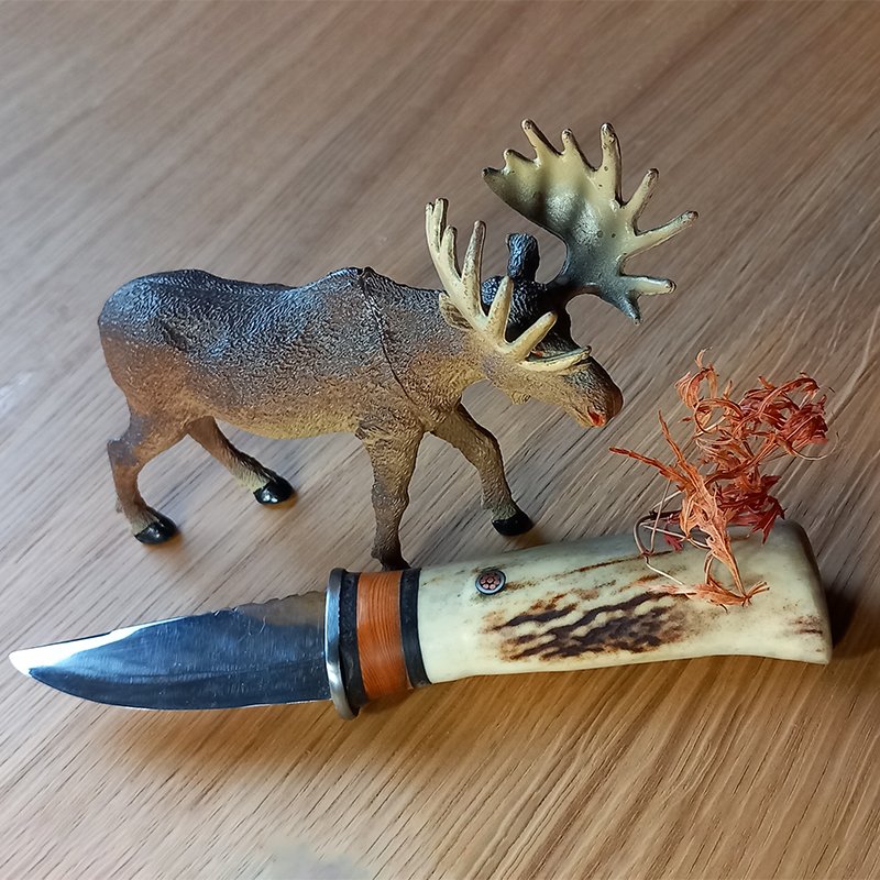 couteau manche bois elan